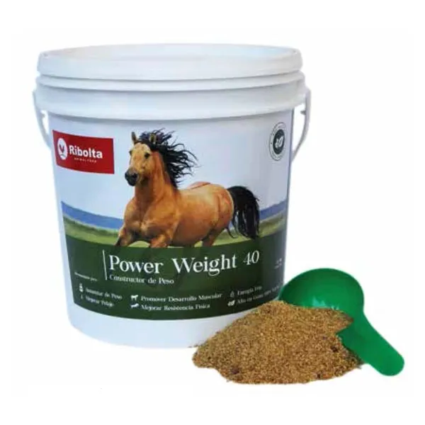 Power Weight 40 Constructor De Peso 9 Kg