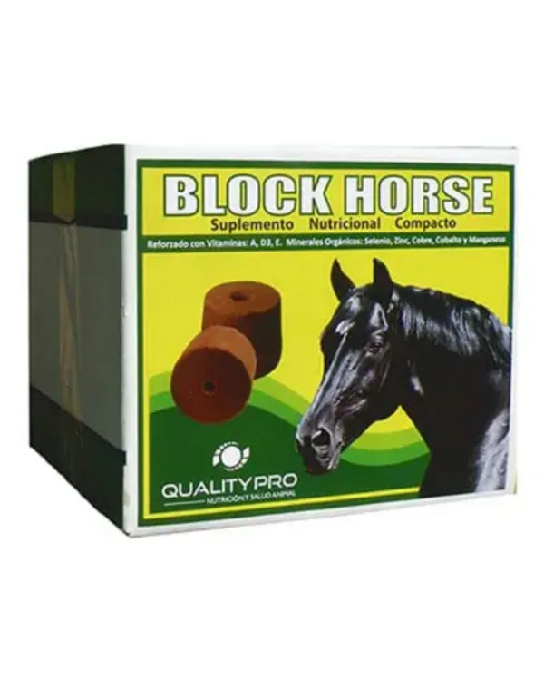 Block Horse 7 Kg
