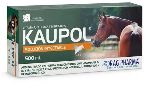 Kaupol Equino 500 ml – Suplemento Energético y Revitalizante para Caballos