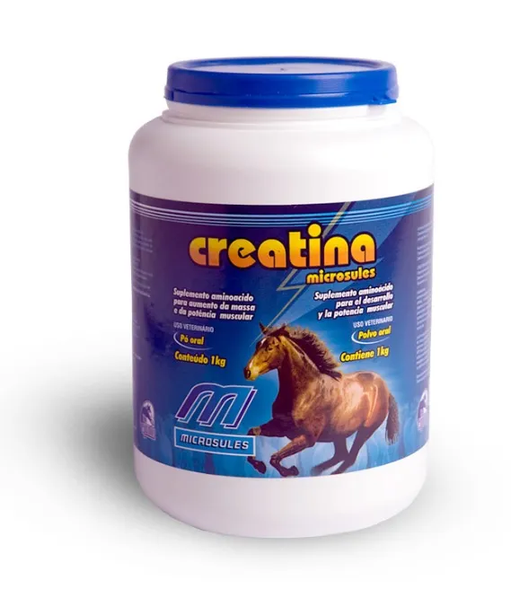 Creatina 1 Kg