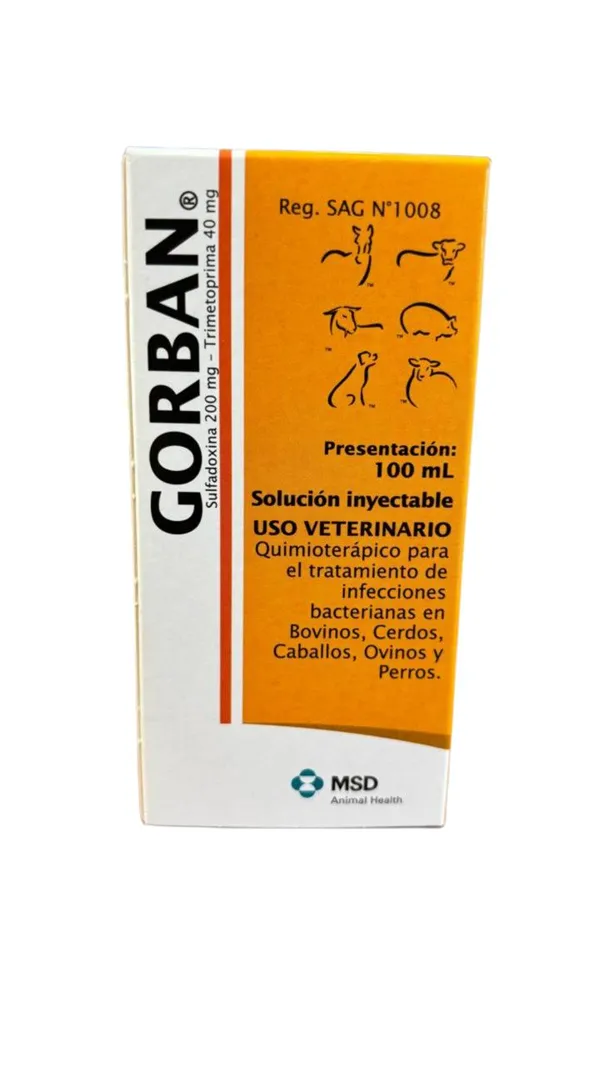Gorban 100 Ml