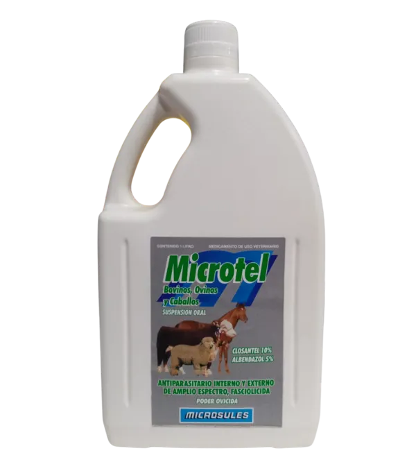 Microtel X 1 Lt