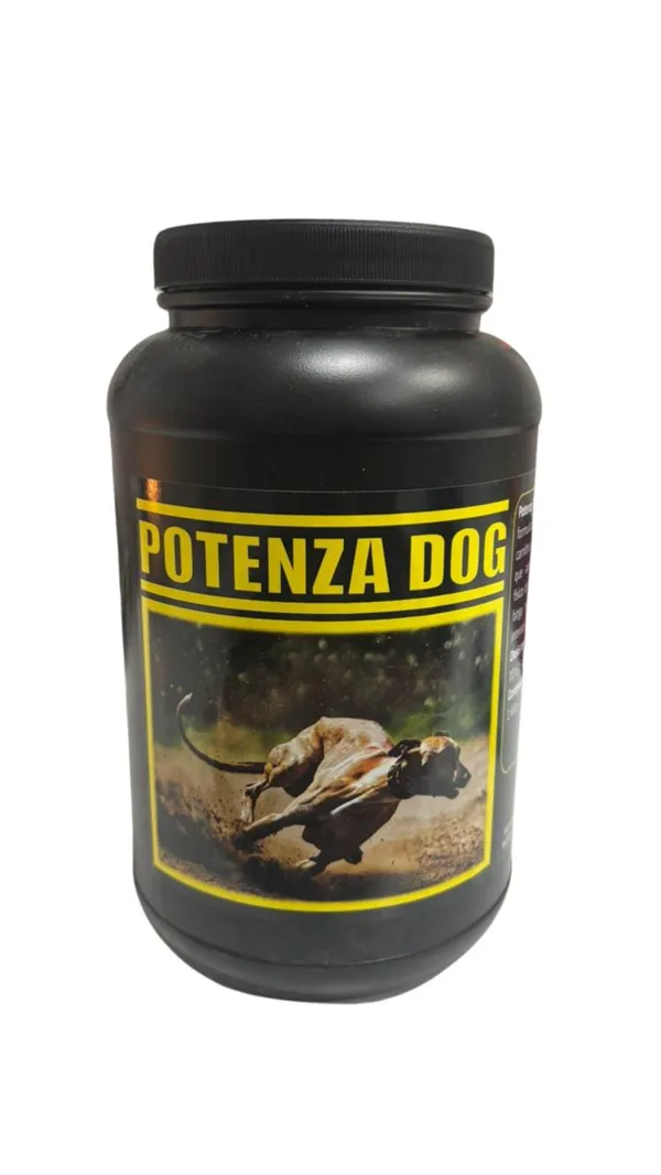 Potenza Dog