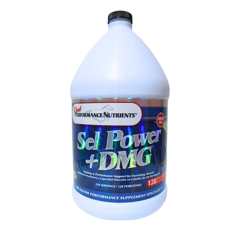 sel_power.webp