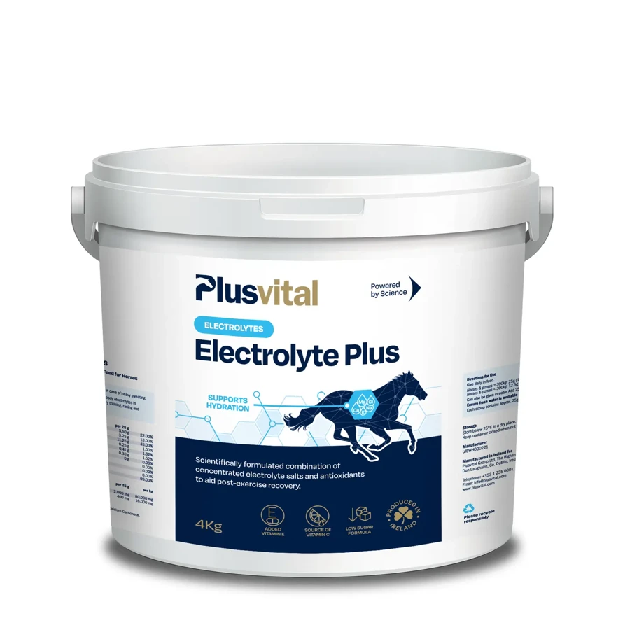 Plusvital Electrolyte Plus 4 Kg-hd