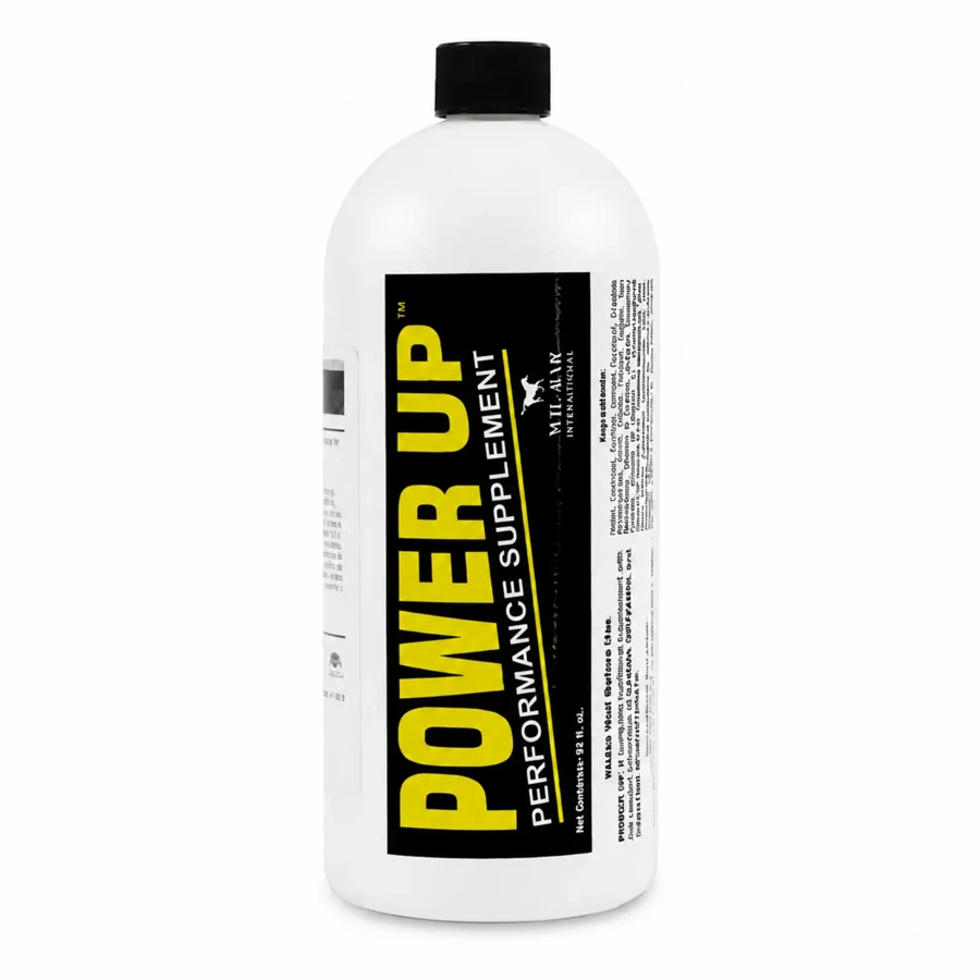 Power Up 1 Lts-hd