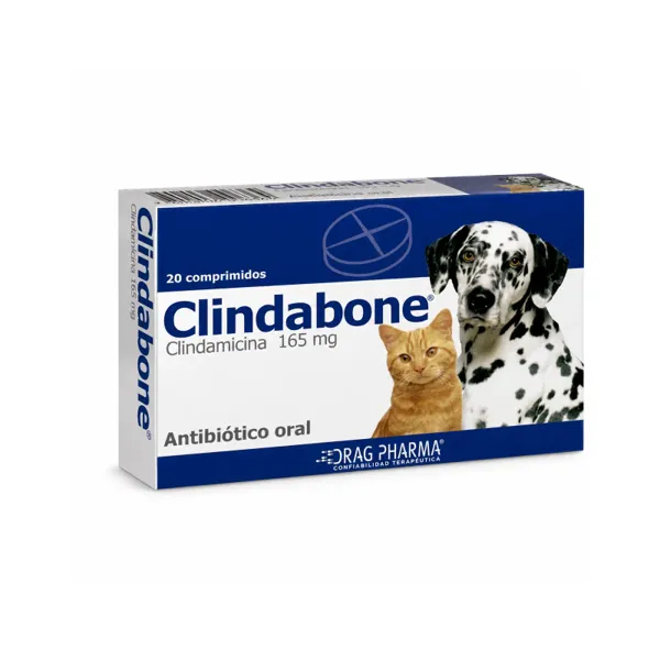 Drag Pharma Clindabone Clindamicina 165 mg 20 Comprimidos
