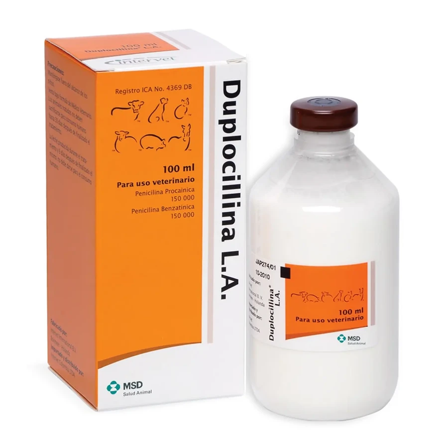 Duplocilline 100 Ml-hd