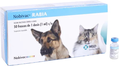 NOBIVAC_RABIA.webp
