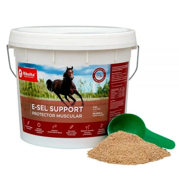 esel_support-1.jpg