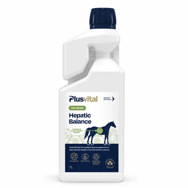 Plusvital Hepatic Balance Suplemento Líquido Equino 1 Litro