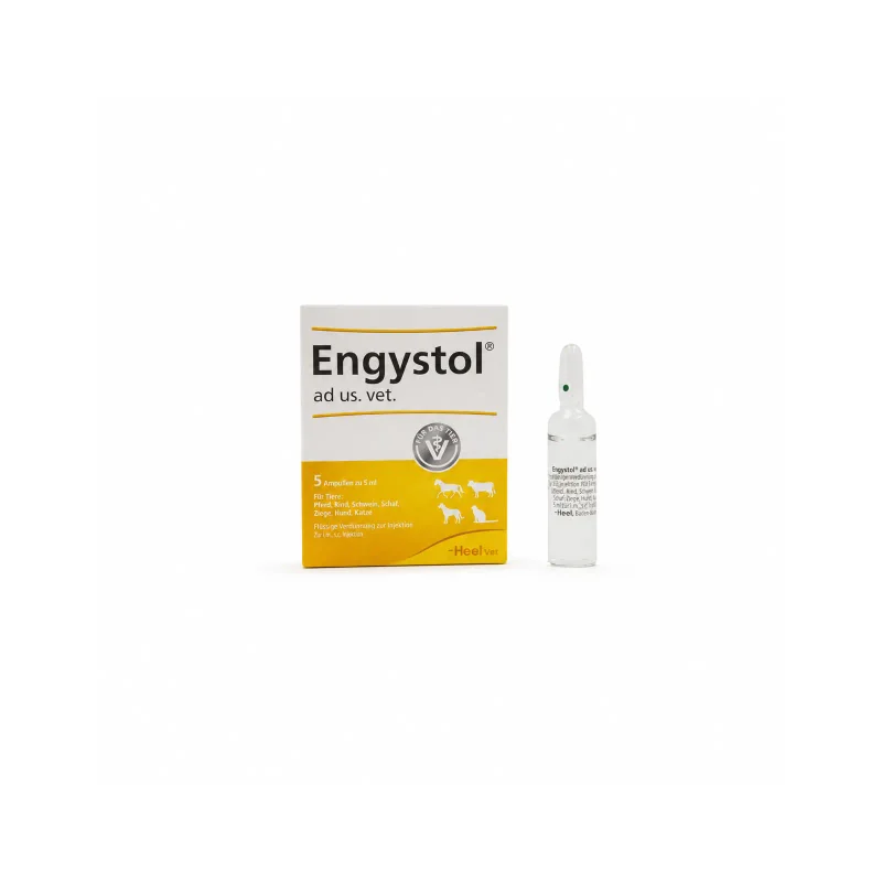 Engystol-Ampolla-5ml-hd