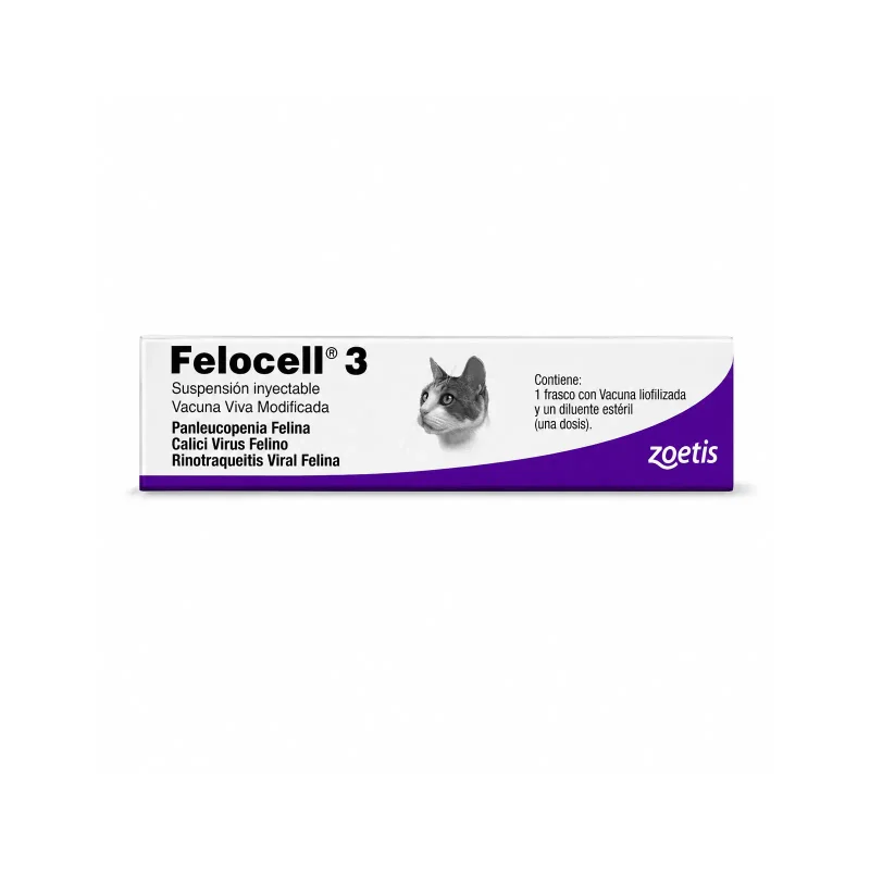 Felocell-3-1-Ds-hd